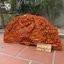 Tranh Quạt Phu Thê Gỗ Hương Kích Thước 50*100cm