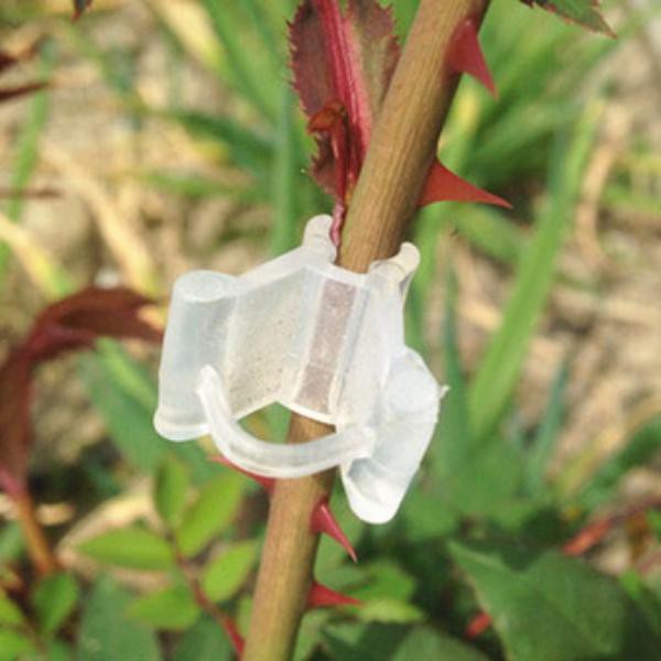 [Cây] Kẹp trong suốt ghép cành - 20 cái-132
