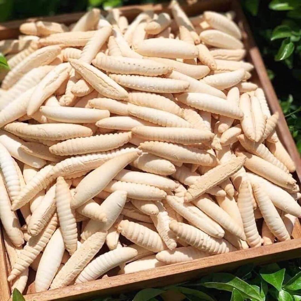 (75K KG) BÁNH SÙNG CỐT DỪA SẦU RIÊNG THƠM NGON GIÒN BÉO BẾN TRE- ĐẶC SẢN BẾN TRE SHOP
