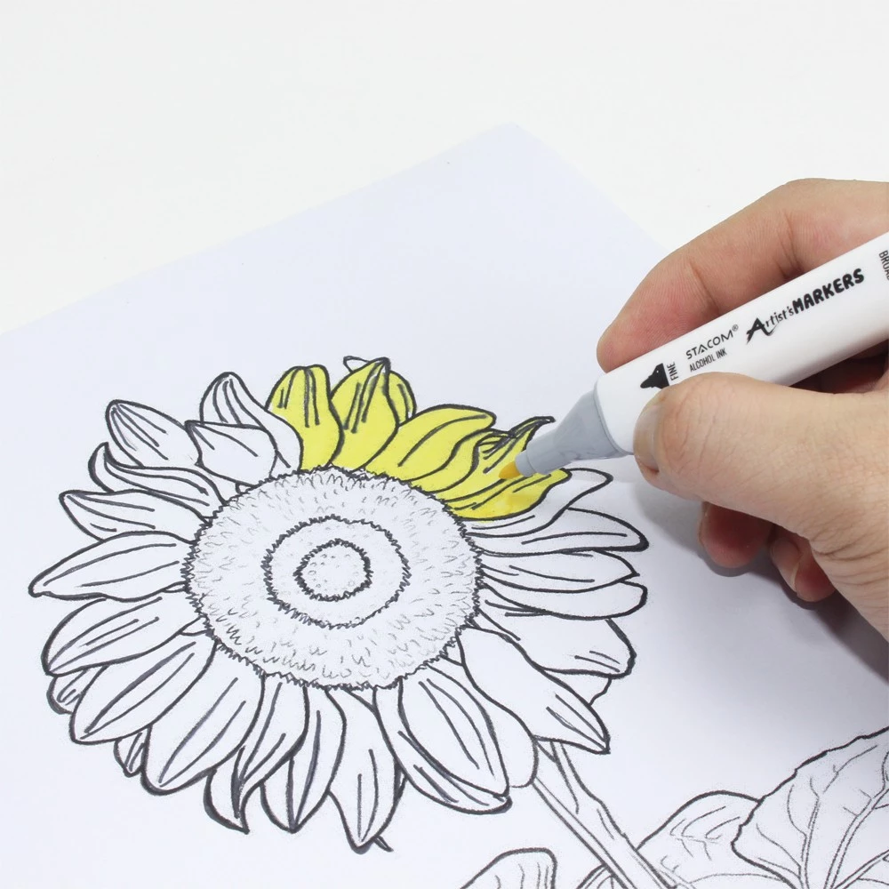 [Xả kho] Bút lông màu Marker 2 đầu cao cấp Stacom12, 24, 36, 48 màu