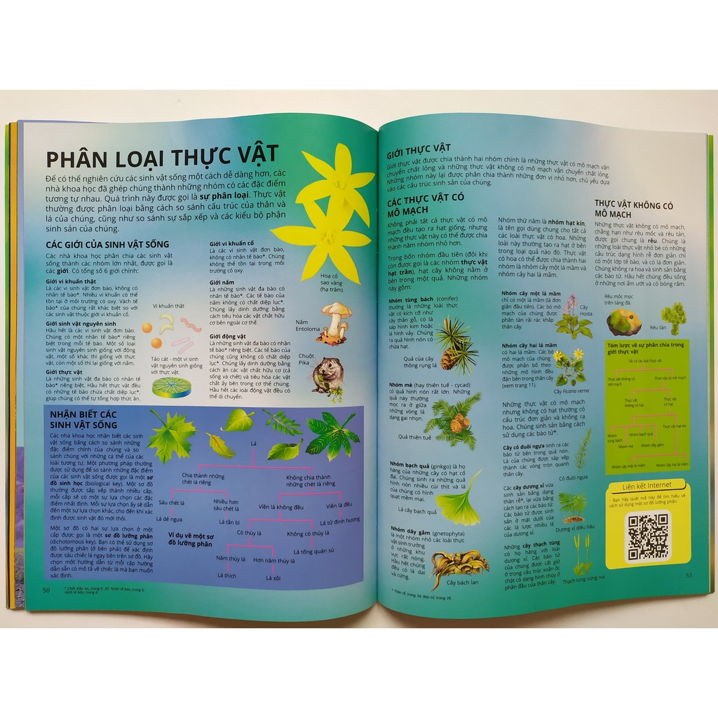 Ảnh Sách - Science Encyclopedia - Bách Khoa Thư Về Khoa Học - Chọn Lẻ Theo Chủ Đề 4