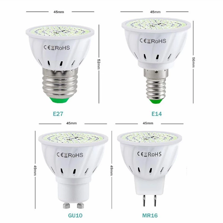 Light Bulb