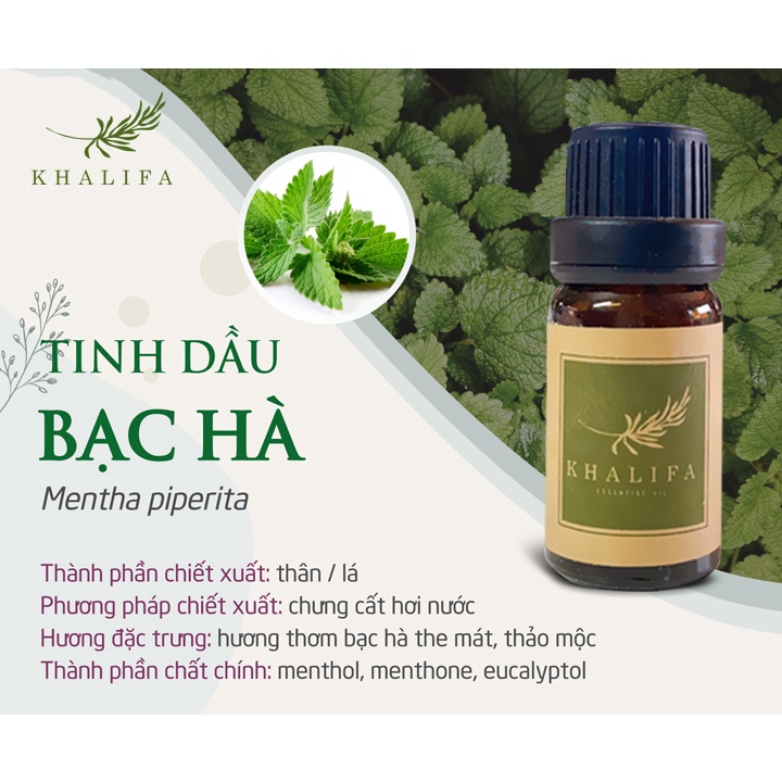 Tinh Dầu Bạc Hà Nguyên Chất Khalifa 50ml Tốt Cho Da Giảm Stress Khử Mùi Chống Say Xe Hàng Chính Hãng