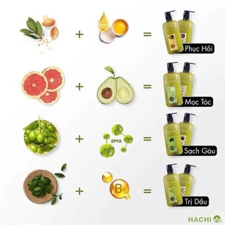 Dầu Gội Xả Olive Hachi 350ml 500 800 Chiết Xuất Từ Quả Oliu Ngăn Ngừa Gàu Và Giảm Kích Ứng Da Đầu