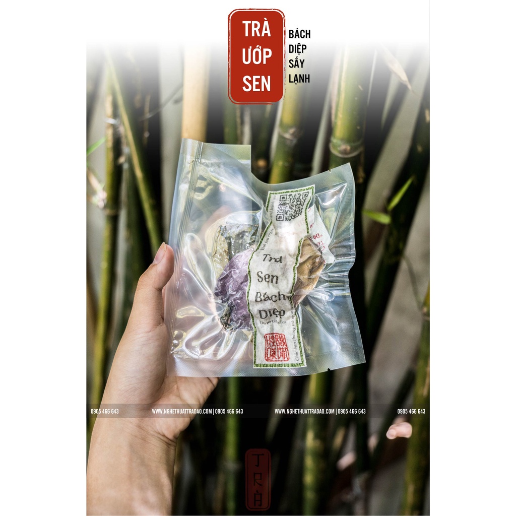 Combo 5 gói Trà ướp sen bách diệp Tây Hồ sấy lạnh (1 gói 1 búp 10gr trà trong hoa)