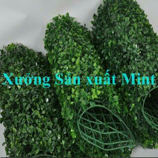 Tấm Cỏ Xoong Giả PVC 40x60cm Trang Trí Background Chụp Ảnh Tường Cây Xanh Cổng Cưới Xưởng Hạnh Hoan Nam Định