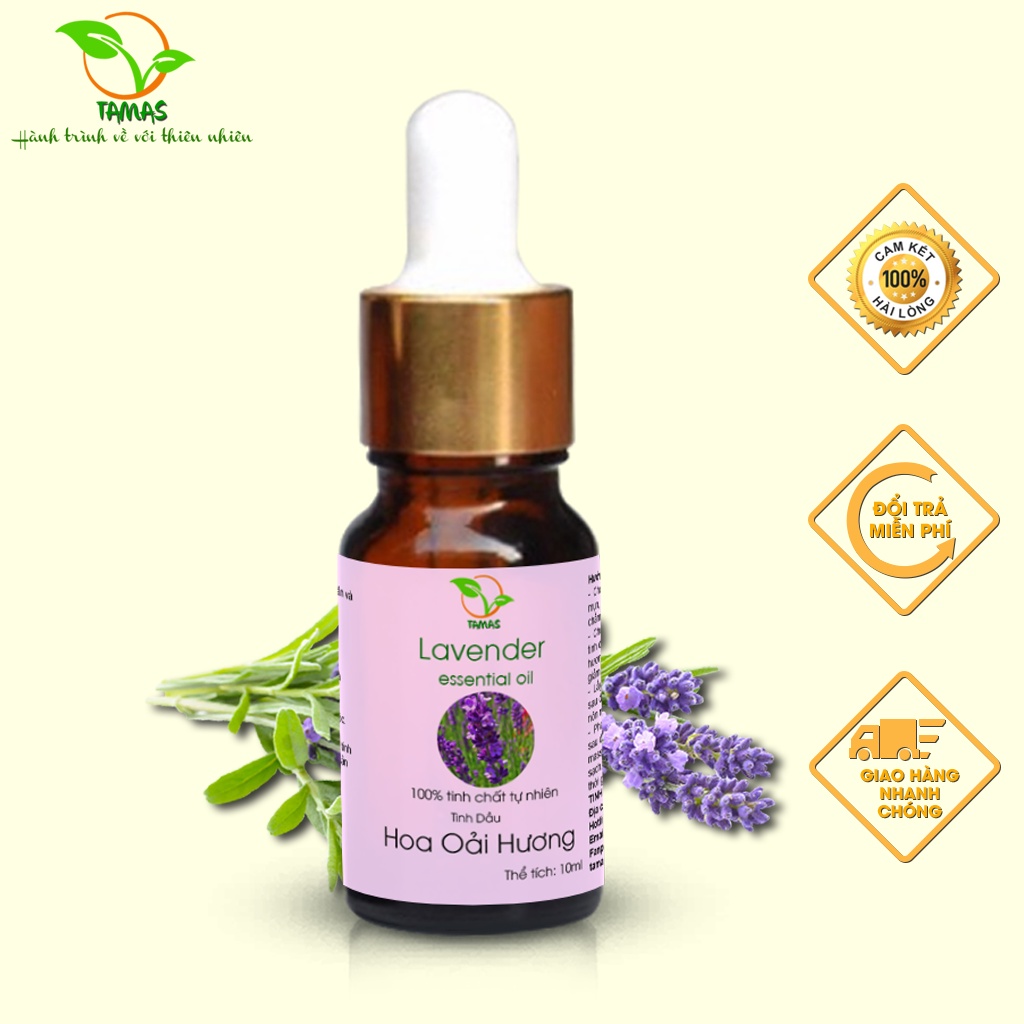 Ảnh Tinh dầu Oải Hương (Lavender) TAMAS 10ml thơm phòng, thư giãn 2