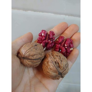 500gr Hạt Óc Chó ĐỎ nhập khẩu từ Mỹ Famiyumi- walnut sấy chín ăn liền