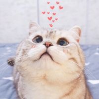 thuyduyen111