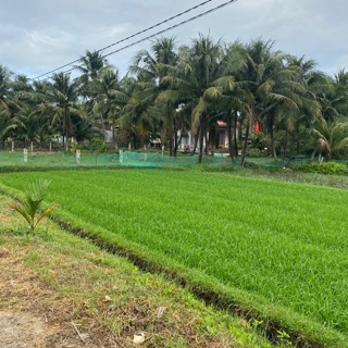tronghieuphuquy