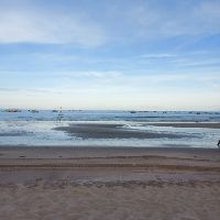 ptthuyduong3108