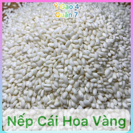 Gạo Nếp Bắc - Nếp Cái Hoa Vàng - Túi 1kg hút chân không - Hạt to tròn đều, trắng đục, dẻo vừa, thơm
