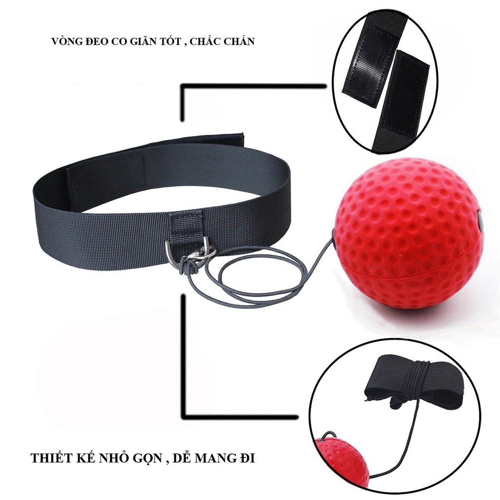 Ảnh Bóng Đấm Tập Phản Xạ Treo Đầu Cao Cấp Đại Nam Sport 2