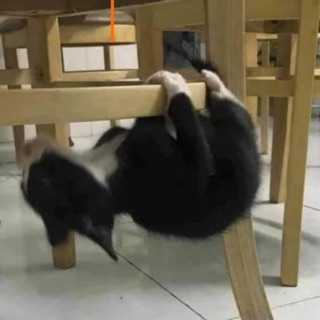 binhthien_2811