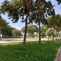 truongthitrang1610
