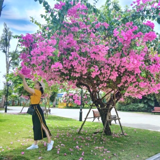 nguyenvukieuduyen