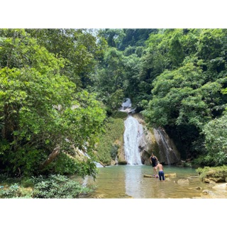 maihoacalla