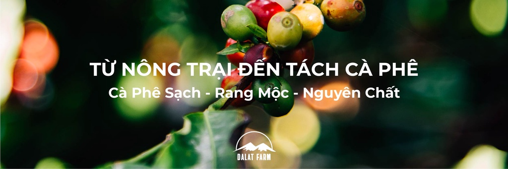 Mô tả Cà Phê Arabica Cầu Đất Dalat Farm - Túi 250Gr (Dạng hạt) - 1
