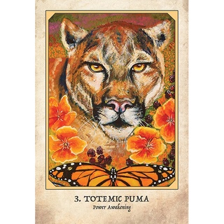 Bộ Bài Earth Warriors Oracle (Mystic House Tarot Shop) - Bài Gốc Authentic Chính Hãng 100%