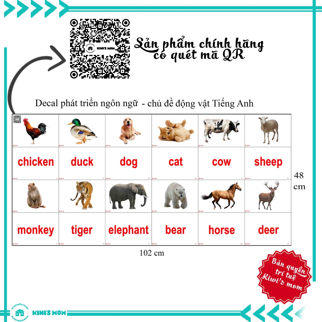 DECAL Phát triển ngôn ngữ Tiếng Anh KIWI'S MOM - 4 lớp cao cấp chống nước