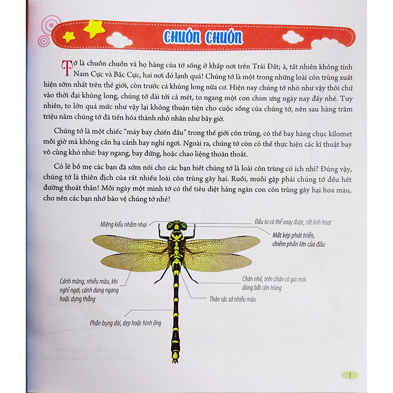 Ảnh Sách cho bé - Bách Khoa Động Vật Dành Cho Trẻ Nhỏ - Côn Trùng 2