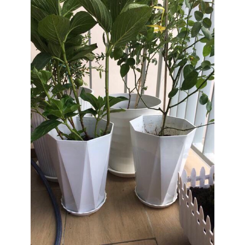 Chậu nhựa kim cương 40x30cm loại 1 dày, bóng, đủ size,hàng đẹp