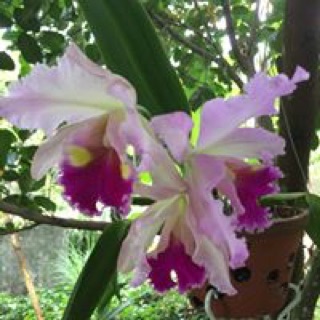 thuytien10022016