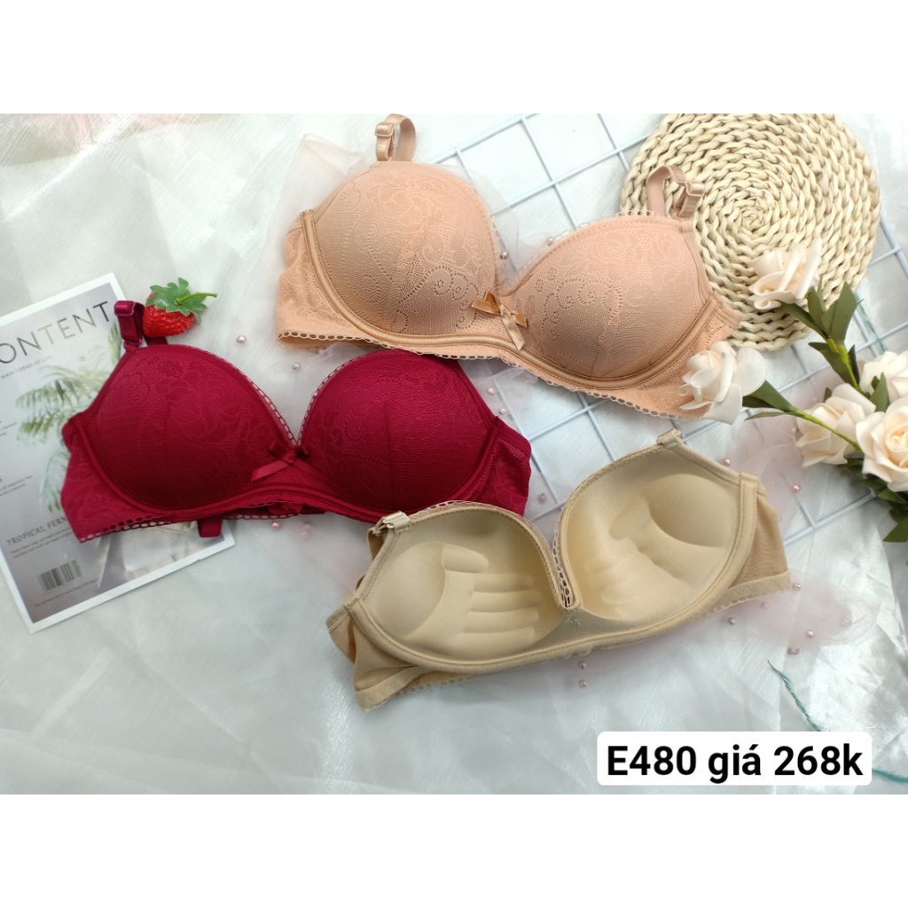 Áo Ngực Nữ Cao Cấp, Áo Lót Nữ Giả Gọng E480 - Thương Hiệu 12H