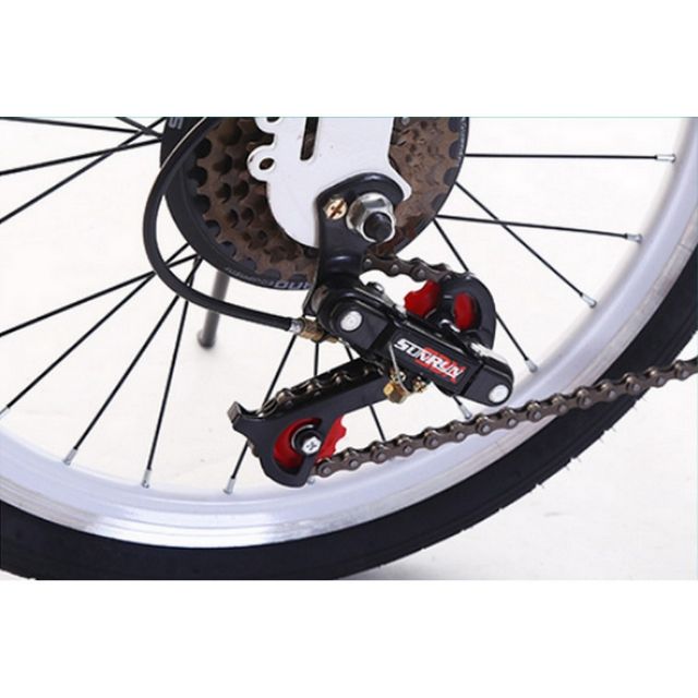 Xe đạp gấp gọn Folding bike - The Royal's 20 inh