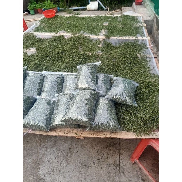 500gr Trà đọt ổi non cắt nhỏ LOẠI 1 xanh đẹp