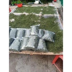 500gr Trà đọt ổi non cắt nhỏ LOẠI 1 xanh đẹp