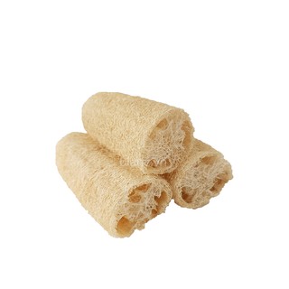 Miếng rửa bát / Miếing rửa chén xơ mướp tự nhiên Vi Lâm, Hàng vnxk, đủ loại, đủ kích cỡ MRCXM
