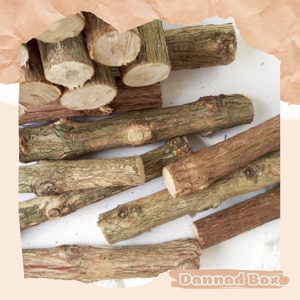 Bó 10 Cành Củi Khô Tự Nhiên (Đọc Kĩ Mô Tả) | Shopee Việt Nam