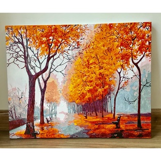 Tranh tô màu theo số hóa Madoca có khung 40x50cm kết hợp T16 và T934