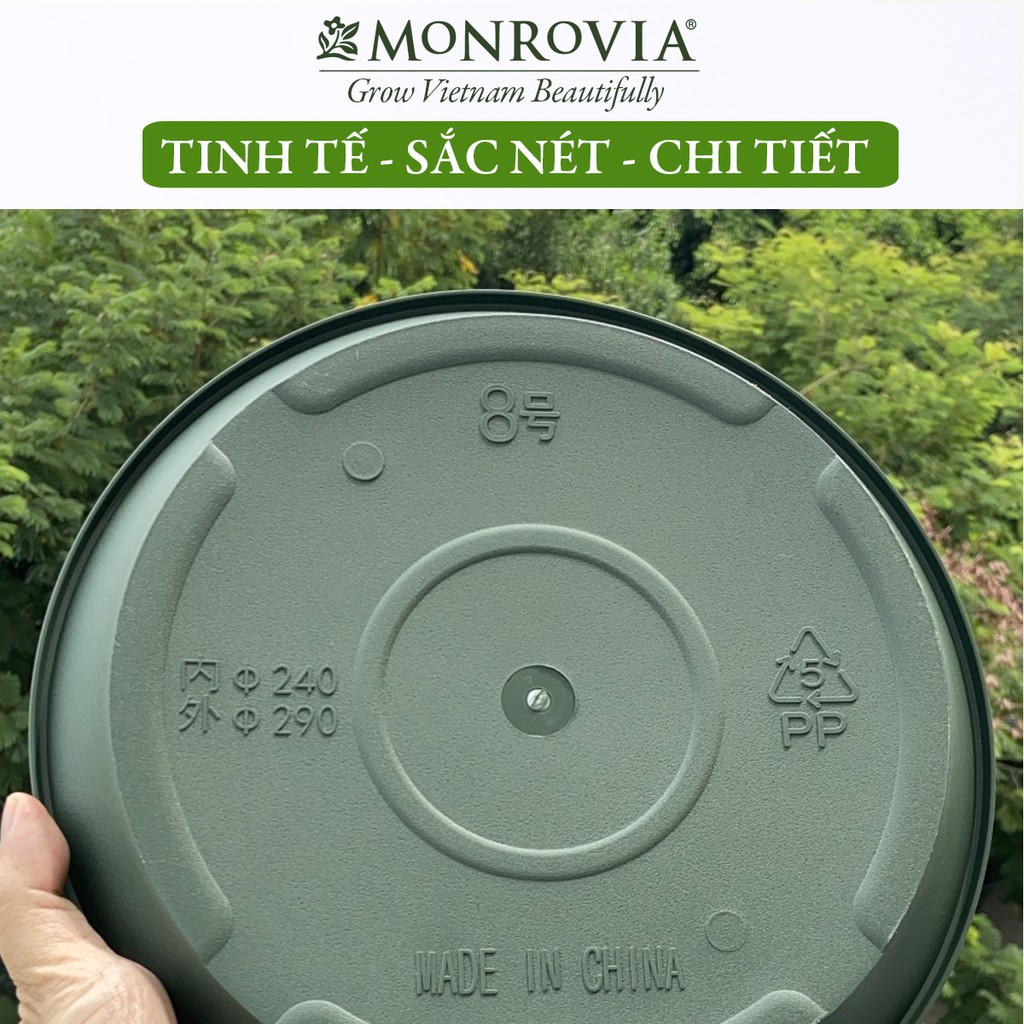 Ảnh Đĩa lót chậu nhựa trồng cây Monrovia chậu trồng cây, chậu cây cảnh mini, để bàn, treo ban công, treo tường, chính hãng 3