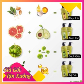 Combo dầu gội xả cao cấp olive HACHI VIETNAM Cascade 500g xanh ngọc dành cho tóc gàu ngứa tinh chất bạc hà