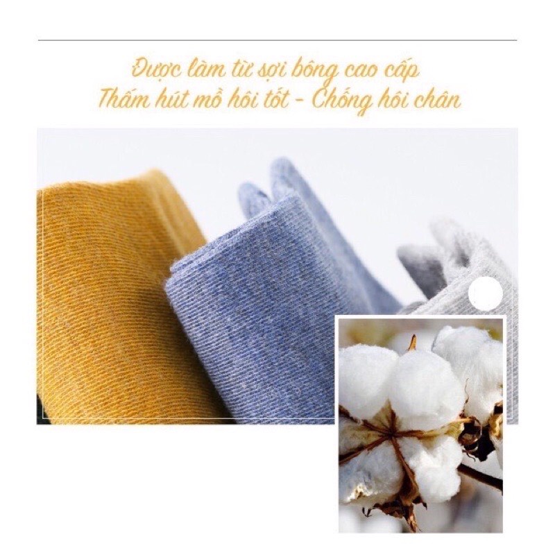 combo 10 Vớ Trơn Cổ Ngắn Nam Nữ , Tất Muối Tiêu Unisex Nhiều Màu Sắc Chống Hôi Chân Cực Đep