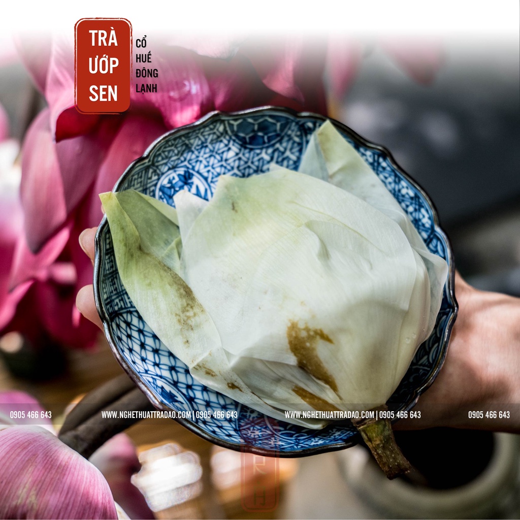[Thư Vương Trà]Trà ướp sen cổ Huế, trà sen, 1 gói 1 búp 12gr trà hút chân không