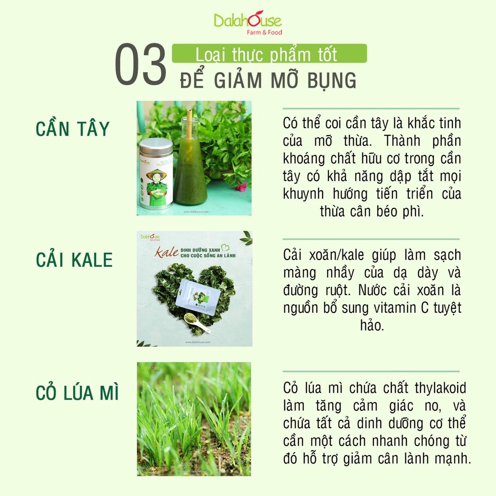 Mô tả Bột cần tây detox nguyên chất sấy lạnh Dalahouse bột rau củ hữu cơ đạt chuẩn Châu Âu - 11