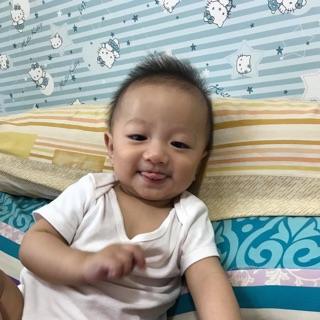 van_ntn2