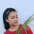 nhuquy5615