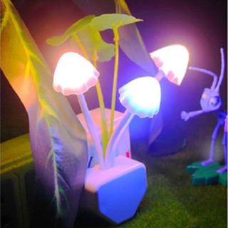 ( TẶNG SET 10 KHẨU TRANG) Đèn Ngủ Cắm Điện Mini Nấm Sen, Cảm Ứng Ánh Sáng Tự Động Ánh Sáng Dịu MEILI STORE
