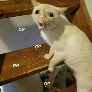 dinhduongly