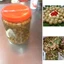 Lọ 1,5 kg mắc mật tươi ngâm muối ăn quanh năm, đặc sản móc mật tươi Lạng Sơn - Tạp hóa cô Quý (M20)