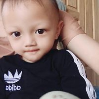 hoangvanden2495