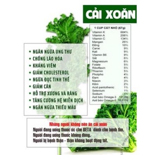 Hạt giống cải kale xoăn xanh và tím .