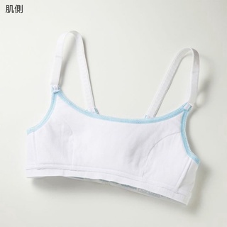Áo lót bé gái cotton sạch an toàn cho da bé, kháng khuẩn, thấm hút mồ hôi Pied Clair Gunze PCD1