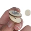COSCOVED Khớp Gỗ Kết Nối Phụ Kiện Búp Bê 12-30mm 10 Bộ Đồ Chơi Trẻ Em Thủ Công Phụ Kiện Búp Bê Chất Liệu DIY Khớp Búp Bê