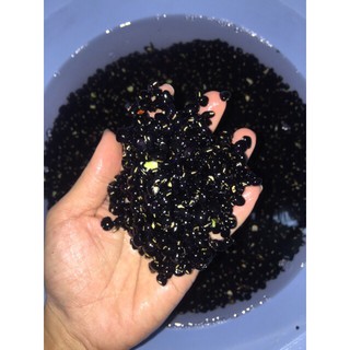 Đậu Đen Xanh Lòng Thiện Phát RANG MỘC