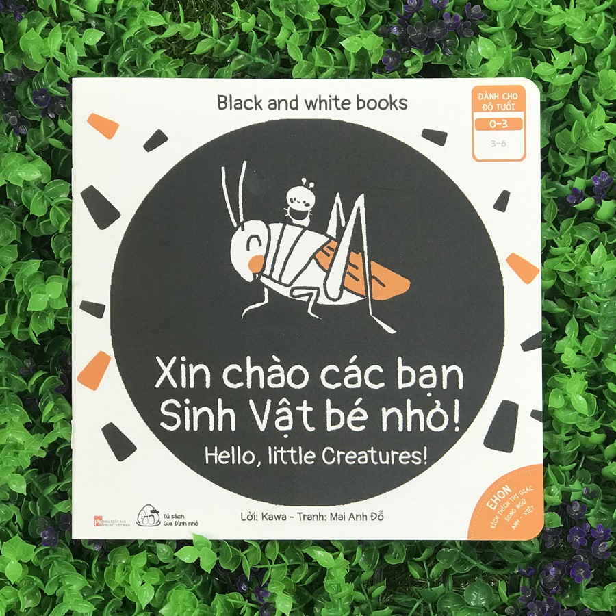 Ảnh Sách - Ehon Kích Thích Thị Giác - Song Ngữ - Black and White books - Xin Chào Các Bạn Sinh Vật Bé Nhỏ (0-3 tuổi) 2